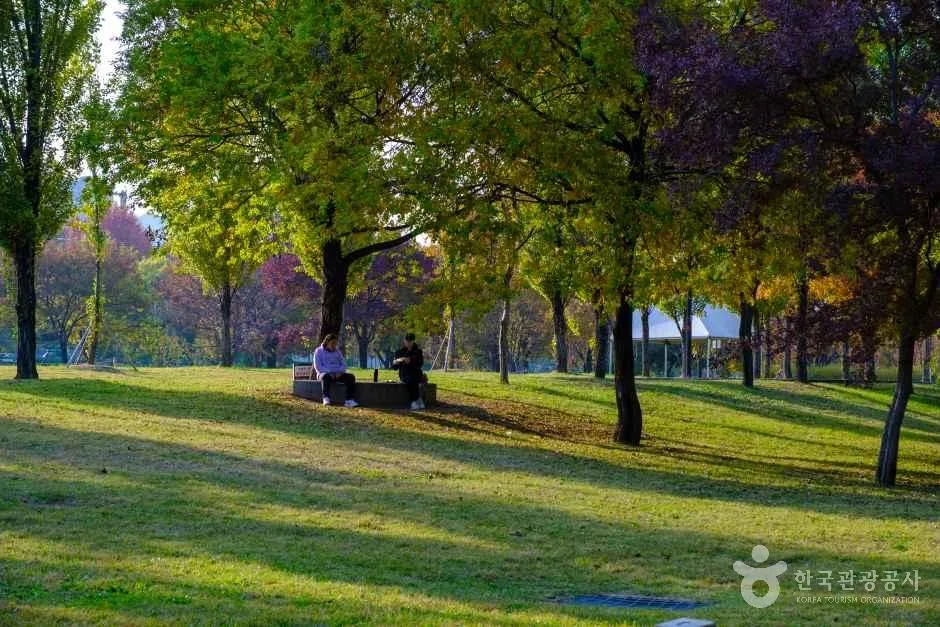 Seoul travel passes: a comprehensive guide for visitors