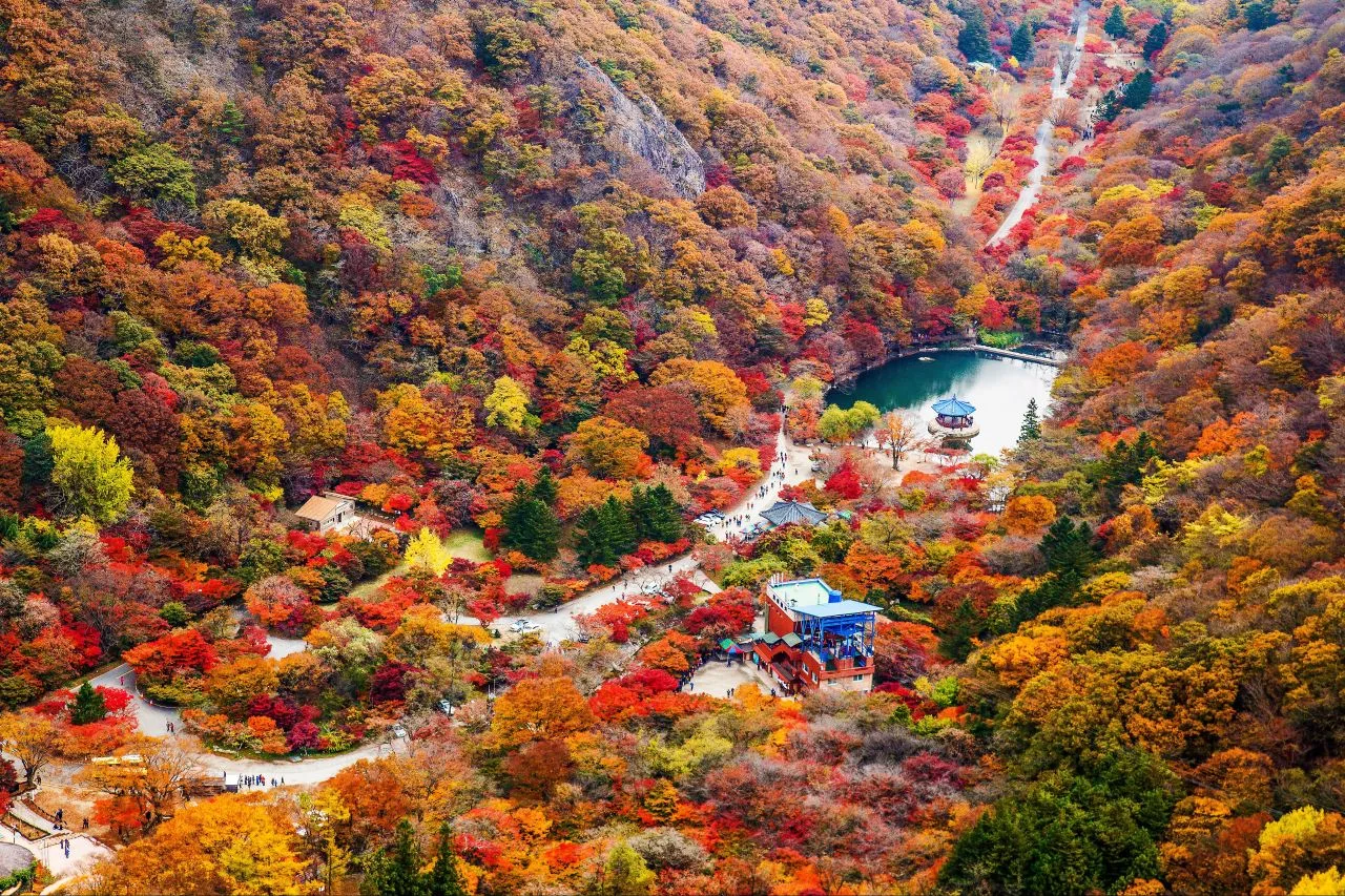 Naejangsan autumn