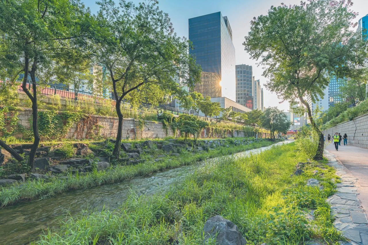Seoul Lantern Festival: what to know before you go